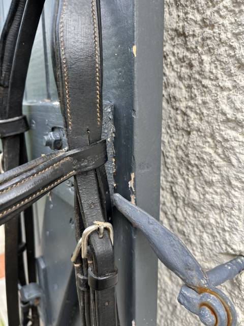 Filet dressage noir 