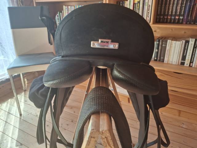 Selle de dressa Wintec Isabell Werth 17 pouces &eacute;quip&eacute;e 