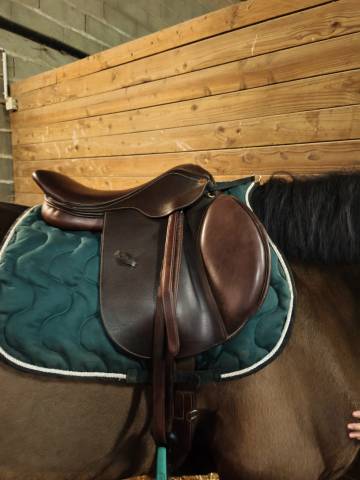 Selle Eric thomas kevin 17, 5 