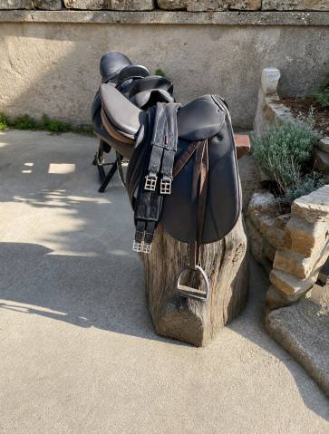 Selle stubben