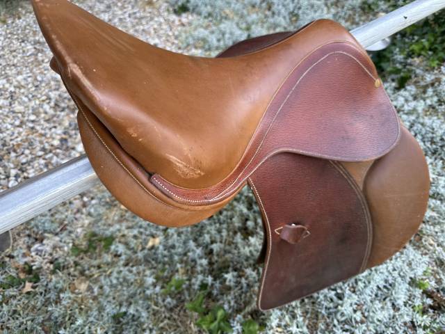 Selle Maroc 