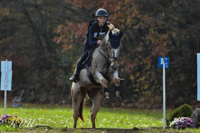 Gasby, hongre appaloosa de 10 ans