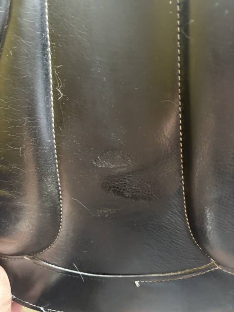 Selle de dressage Baude