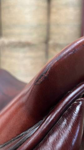 Selle gbs 