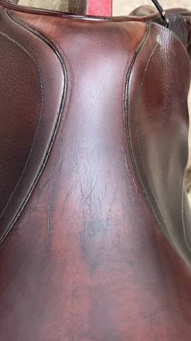 Selle gbs 