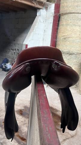 Selle gbs 