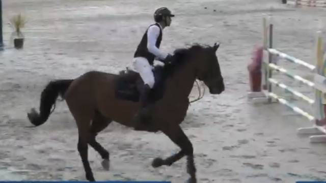 Jument cso amateur 
