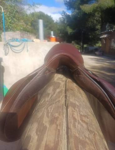 Selle forestier club 17"