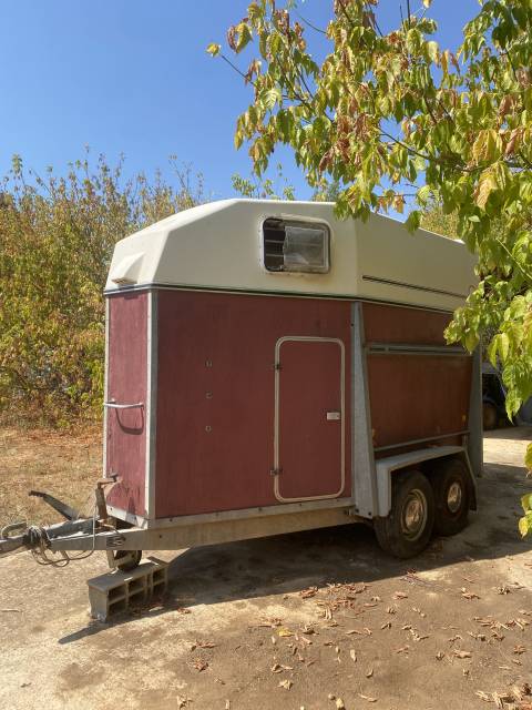 Van branderup original 2 chevaux 