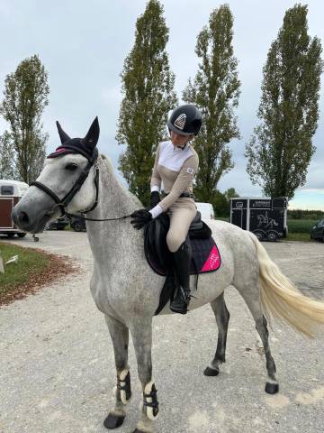 Jument connemara a confier 2015 gris par creaga hero