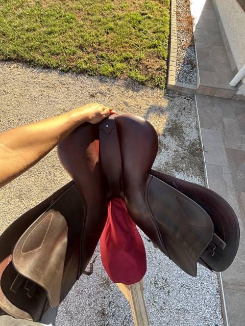 Selle CWD 