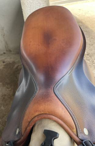 Selle childeric sfe mixte 17’
