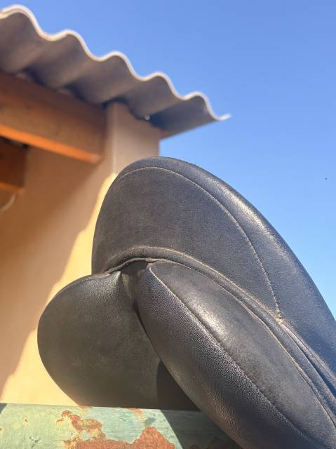Selle de Dressage Wintec Pro