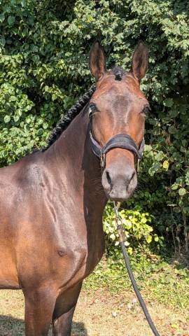 Ponette d 5ans