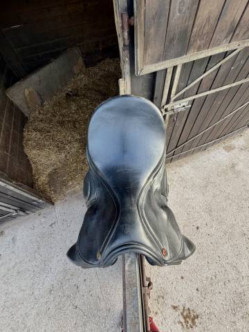 Selle de dressage SB