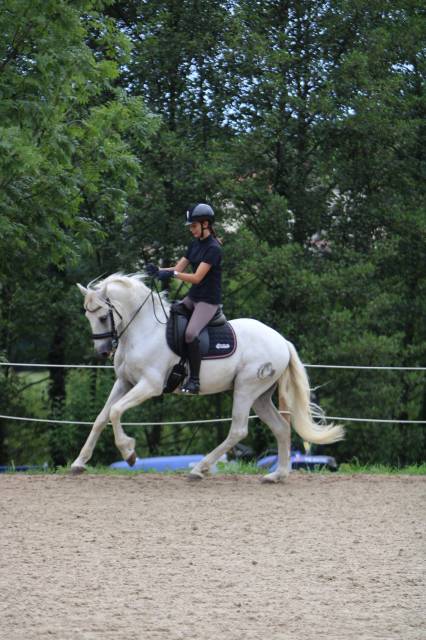 Magnifique pre