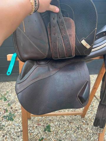 Selle de la marque Ikonic