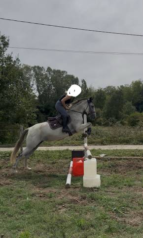 Jument-onc-8 ans sport/loisir