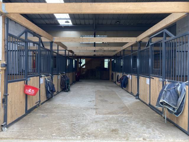 Pension boxe paddock aux portes de lyon