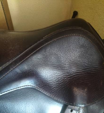 Selle Mixte 17 pouces : Henry de Rivel 