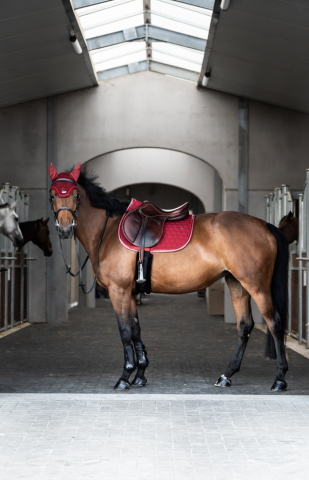 Tapis de selle Atlas - GEM - Strass et paillettes