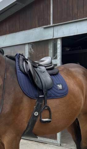Selle Herv&eacute; Godignon