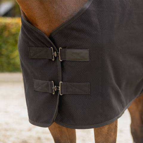 Couverture de show Avenna - QHP