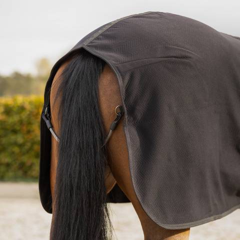Couverture de show Avenna - QHP
