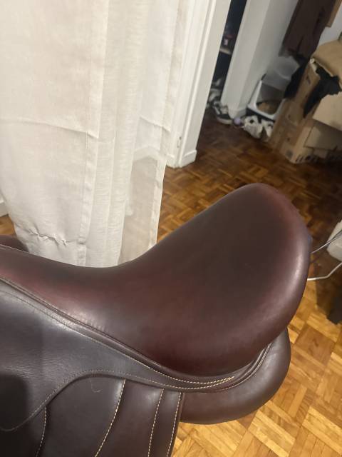 Selle antares cadence 