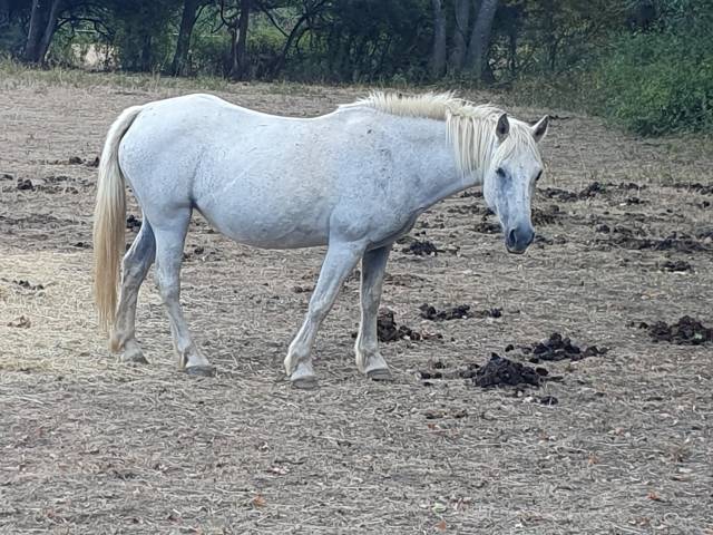 Gentille ponette 23ans
