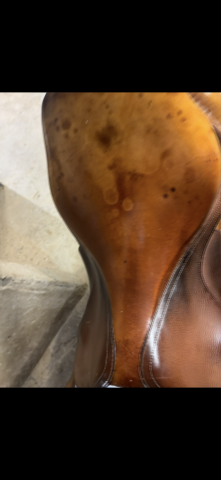 Selle meyer de taille 17,5 