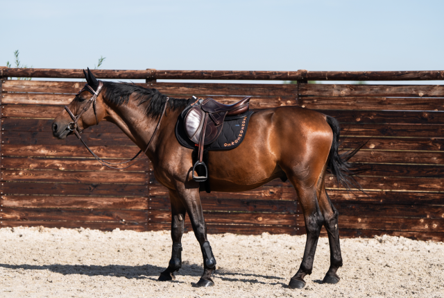 Tapis de selle Essentiel - GEM - Design moderne