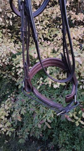 Filet Time Rider taille cob