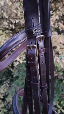 Filet Time Rider taille cob