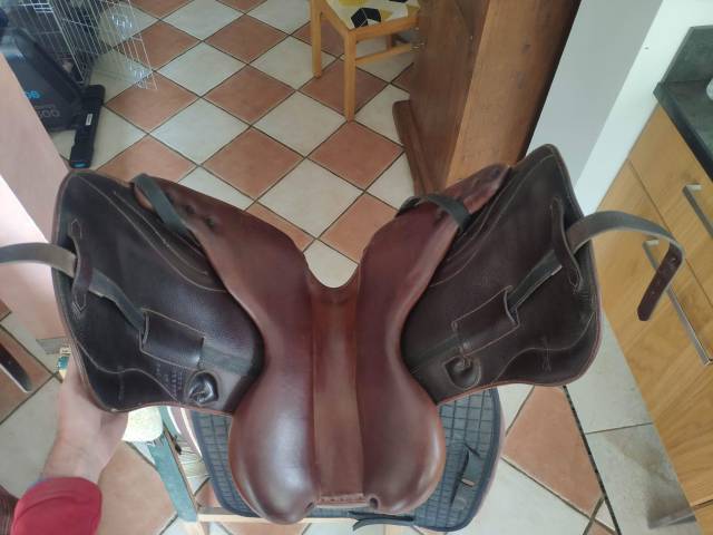 Darroze dressage 17