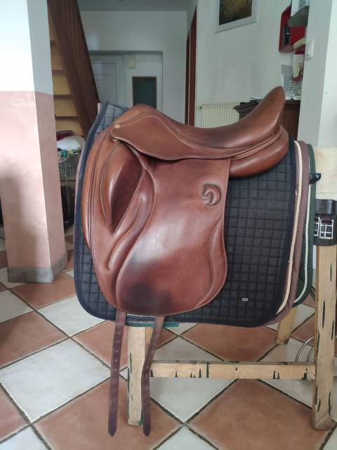 Darroze dressage 17