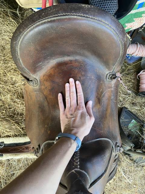 Selle western taille cob 
