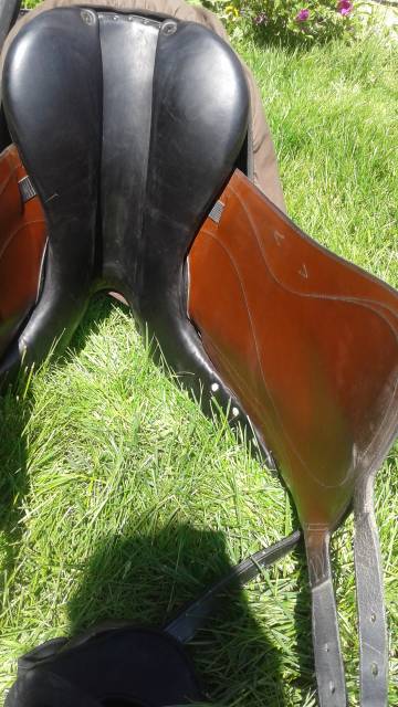 Selle dressage 