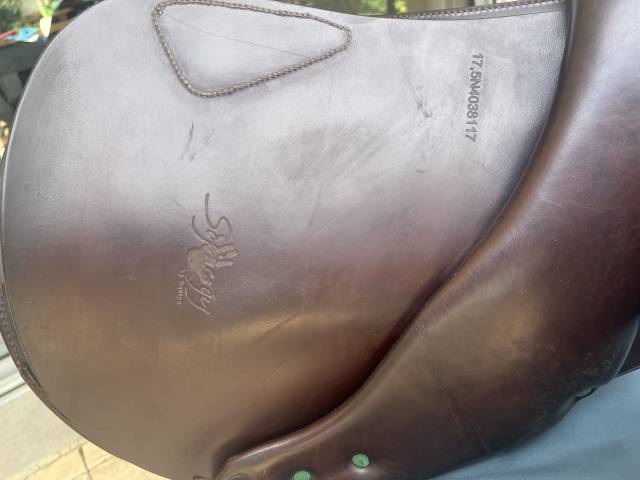 Selle Equipe Synergje 17,5