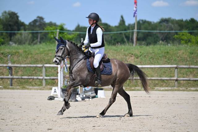 Minedore de l'aumoy - femelle pfs 4 ans