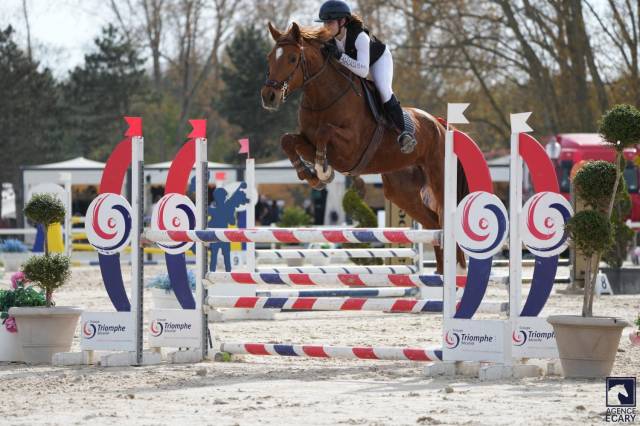Jument sf, 11 ans , idéale loisir et cso 100-110
