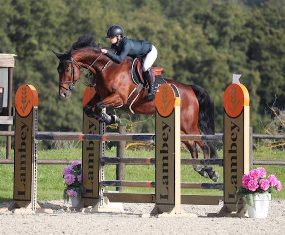 Hongre 9 ans classé amateur élite