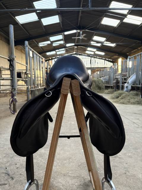 Selle childeric 