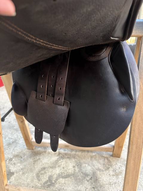 Selle childeric 