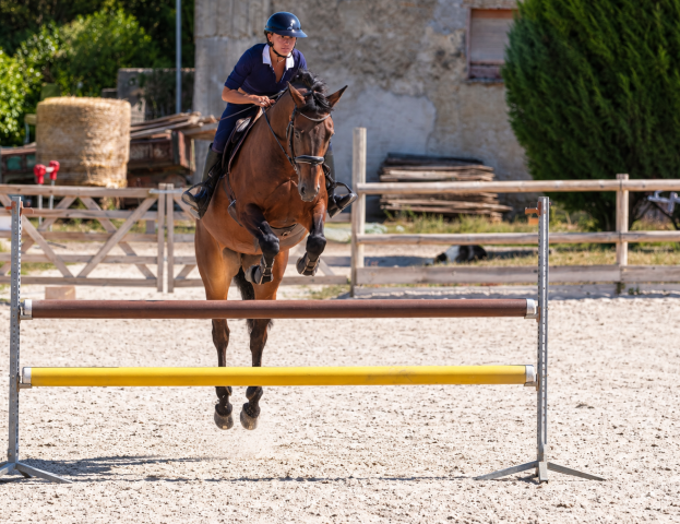 Jument - selle français - 10 ans - cso / cce - france