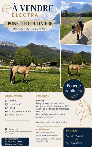 Magnifique ponette à vendre