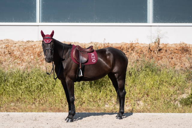 Tapis de selle TEN Bordeaux mixte - GEM - Matelassage en V