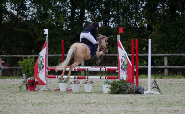 à vendre ponette de sport