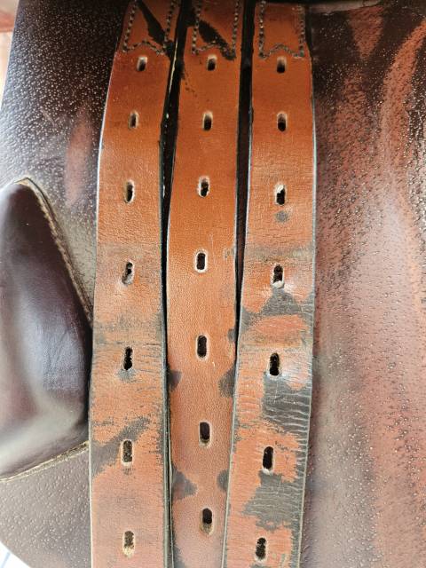 Selle &Eacute;quipe Expression 