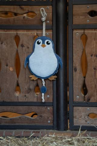 Jouet d'occupation Penguin - HKM - Enrichissement de box